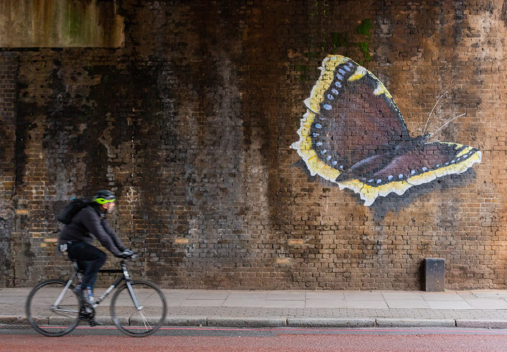 Man on bicycle with graffiti of butterfly on the wall